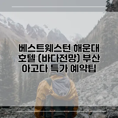 베스트웨스턴 해운대 호텔 (바다전망) 부산 아고다 특가 예약팁