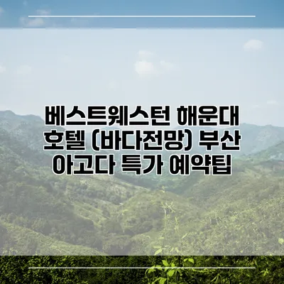 베스트웨스턴 해운대 호텔 (바다전망) 부산 아고다 특가 예약팁