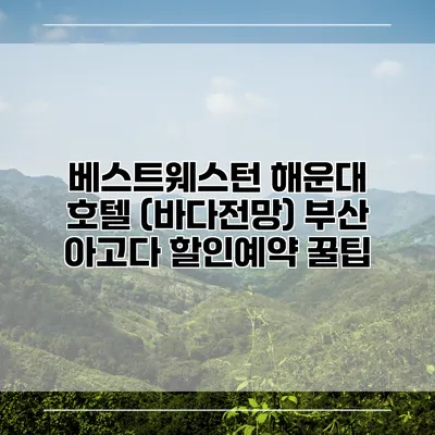 베스트웨스턴 해운대 호텔 (바다전망) 부산 아고다 할인예약 꿀팁