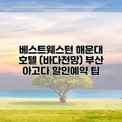 베스트웨스턴 해운대 호텔 (바다전망) 부산 아고다 할인예약 팁