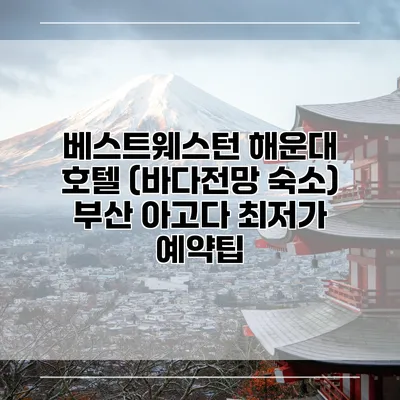 베스트웨스턴 해운대 호텔 (바다전망 숙소) 부산 아고다 최저가 예약팁