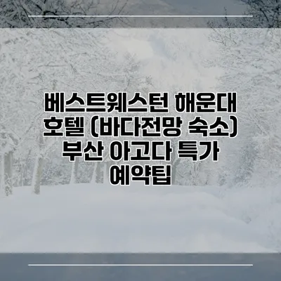 베스트웨스턴 해운대 호텔 (바다전망 숙소) 부산 아고다 특가 예약팁
