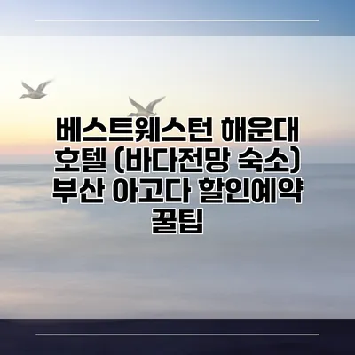 베스트웨스턴 해운대 호텔 (바다전망 숙소) 부산 아고다 할인예약 꿀팁