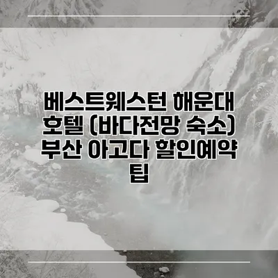 베스트웨스턴 해운대 호텔 (바다전망 숙소) 부산 아고다 할인예약 팁