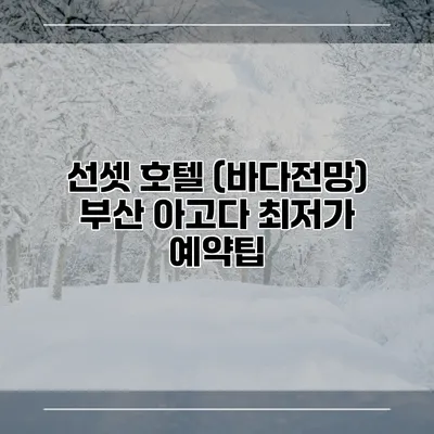 선셋 호텔 (바다전망) 부산 아고다 최저가 예약팁