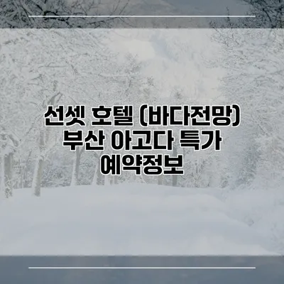 선셋 호텔 (바다전망) 부산 아고다 특가 예약정보
