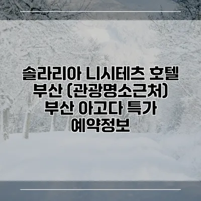 솔라리아 니시테츠 호텔 부산 (관광명소근처) 부산 아고다 특가 예약정보