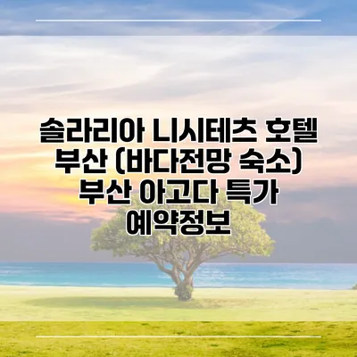 솔라리아 니시테츠 호텔 부산 (바다전망 숙소) 부산 아고다 특가 예약정보