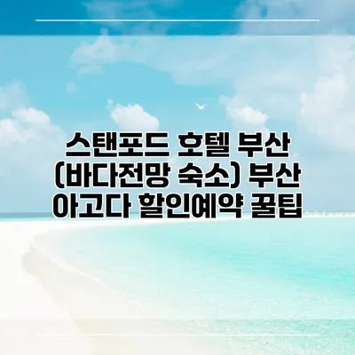스탠포드 호텔 부산 (바다전망 숙소) 부산 아고다 할인예약 꿀팁