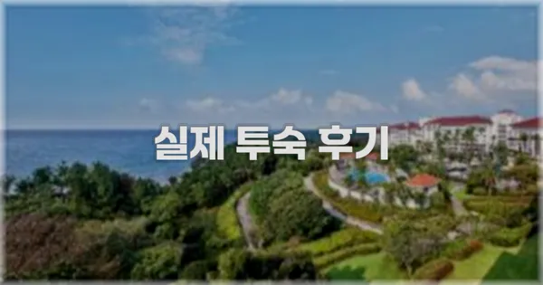 💬 실제 투숙 후기