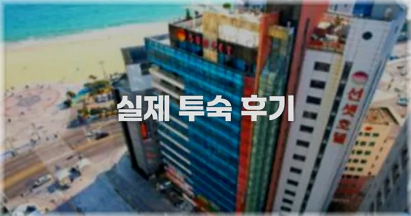 💬 실제 투숙 후기