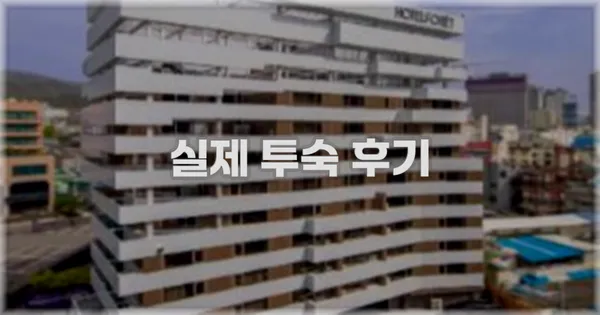 💬 실제 투숙 후기