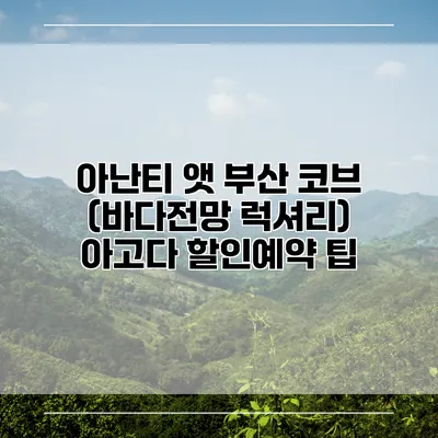 아난티 앳 부산 코브 (바다전망 럭셔리) 아고다 할인예약 팁