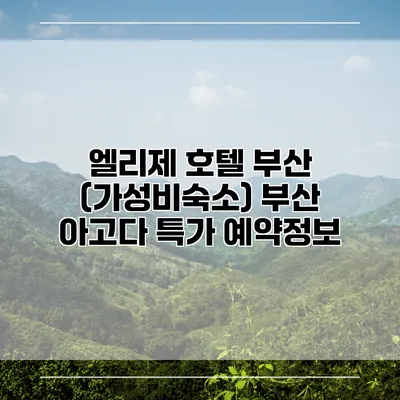 엘리제 호텔 부산 (가성비숙소) 부산 아고다 특가 예약정보