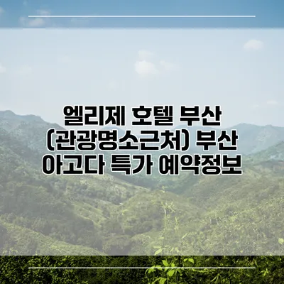 엘리제 호텔 부산 (관광명소근처) 부산 아고다 특가 예약정보