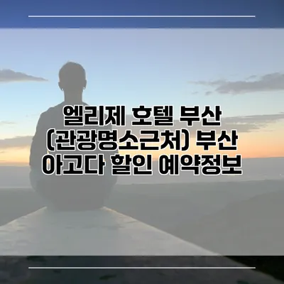 엘리제 호텔 부산 (관광명소근처) 부산 아고다 할인 예약정보