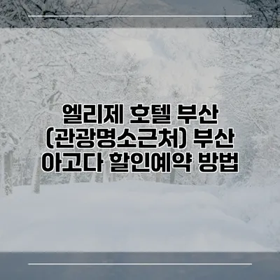 엘리제 호텔 부산 (관광명소근처) 부산 아고다 할인예약 방법