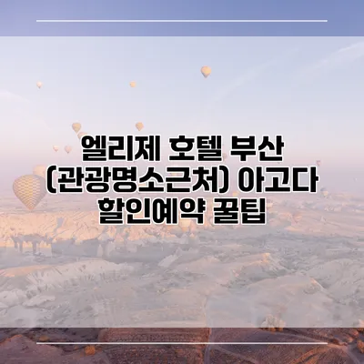 엘리제 호텔 부산 (관광명소근처) 아고다 할인예약 꿀팁