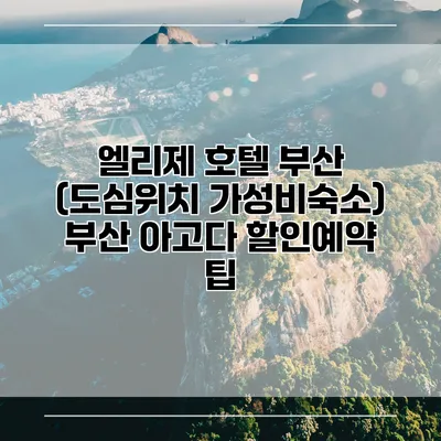 엘리제 호텔 부산 (도심위치 가성비숙소) 부산 아고다 할인예약 팁