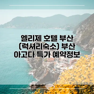 엘리제 호텔 부산 (럭셔리숙소) 부산 아고다 특가 예약정보