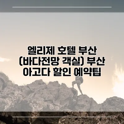 엘리제 호텔 부산 (바다전망 객실) 부산 아고다 할인 예약팁