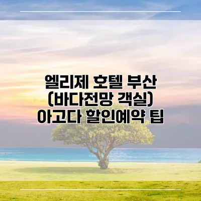 엘리제 호텔 부산 (바다전망 객실) 아고다 할인예약 팁