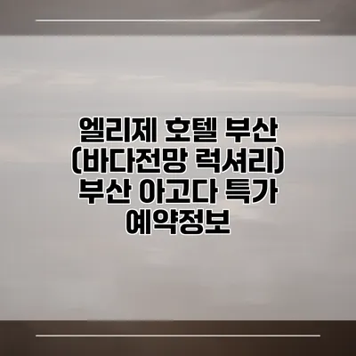 엘리제 호텔 부산 (바다전망 럭셔리) 부산 아고다 특가 예약정보