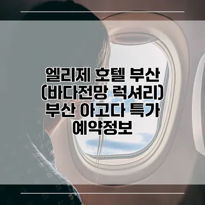 엘리제 호텔 부산 (바다전망 럭셔리) 부산 아고다 특가 예약정보