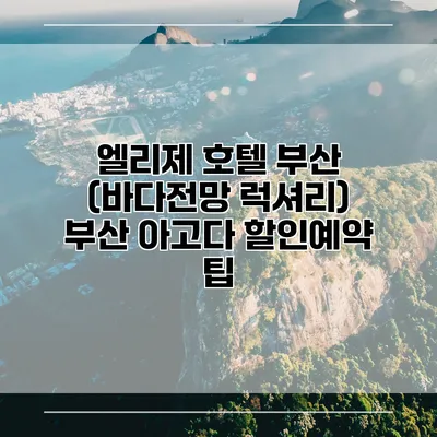 엘리제 호텔 부산 (바다전망 럭셔리) 부산 아고다 할인예약 팁