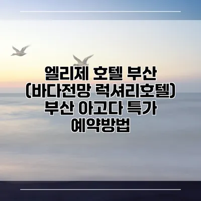 엘리제 호텔 부산 (바다전망 럭셔리호텔) 부산 아고다 특가 예약방법