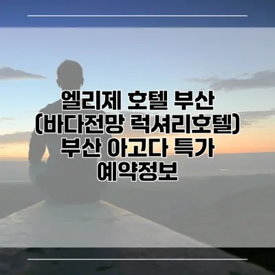 엘리제 호텔 부산 (바다전망 럭셔리호텔) 부산 아고다 특가 예약정보