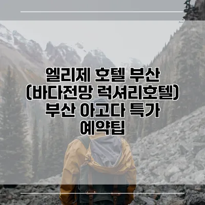 엘리제 호텔 부산 (바다전망 럭셔리호텔) 부산 아고다 특가 예약팁