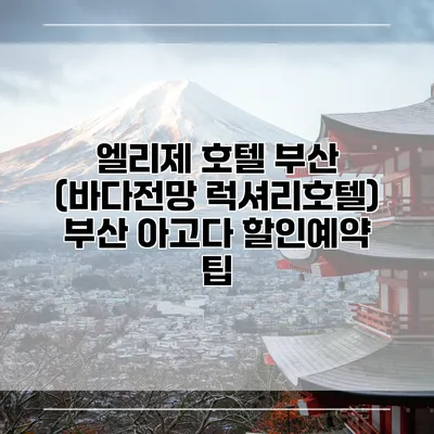 엘리제 호텔 부산 (바다전망 럭셔리호텔) 부산 아고다 할인예약 팁