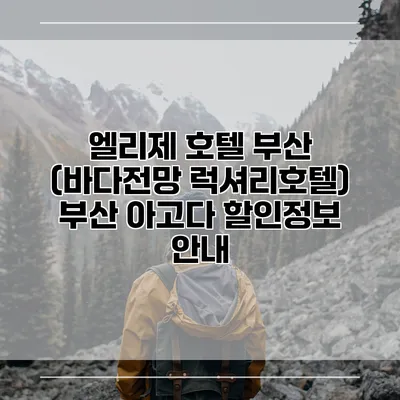 엘리제 호텔 부산 (바다전망 럭셔리호텔) 부산 아고다 할인정보 안내