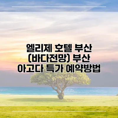 엘리제 호텔 부산 (바다전망) 부산 아고다 특가 예약방법