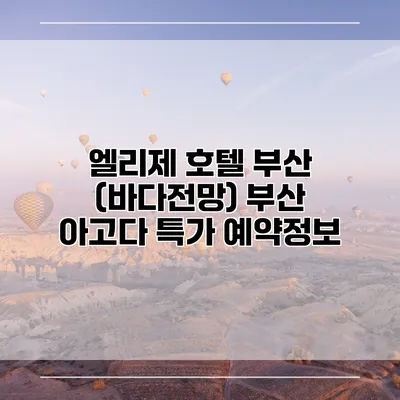 엘리제 호텔 부산 (바다전망) 부산 아고다 특가 예약정보