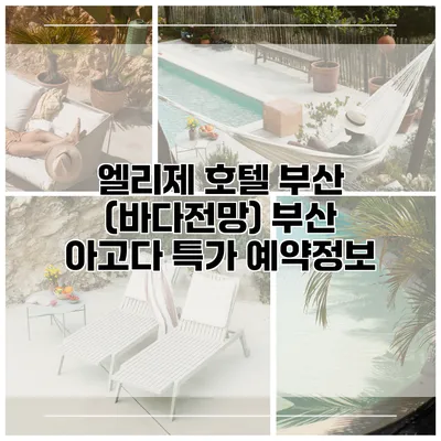 엘리제 호텔 부산 (바다전망) 부산 아고다 특가 예약정보