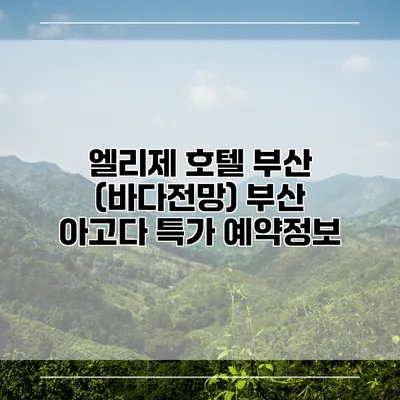 엘리제 호텔 부산 (바다전망) 부산 아고다 특가 예약정보