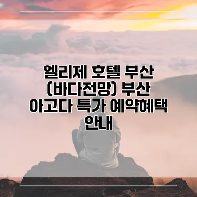 엘리제 호텔 부산 (바다전망) 부산 아고다 특가 예약혜택 안내