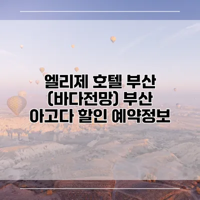 엘리제 호텔 부산 (바다전망) 부산 아고다 할인 예약정보
