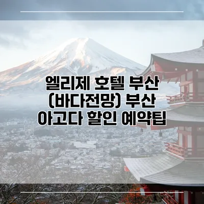 엘리제 호텔 부산 (바다전망) 부산 아고다 할인 예약팁