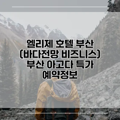 엘리제 호텔 부산 (바다전망 비즈니스) 부산 아고다 특가 예약정보