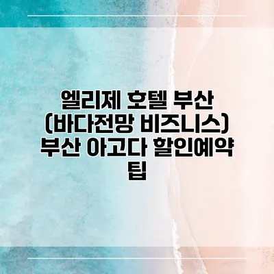 엘리제 호텔 부산 (바다전망 비즈니스) 부산 아고다 할인예약 팁