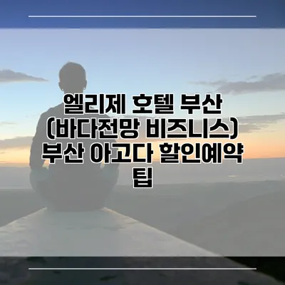 엘리제 호텔 부산 (바다전망 비즈니스) 부산 아고다 할인예약 팁