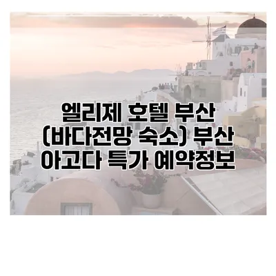 엘리제 호텔 부산 (바다전망 숙소) 부산 아고다 특가 예약정보