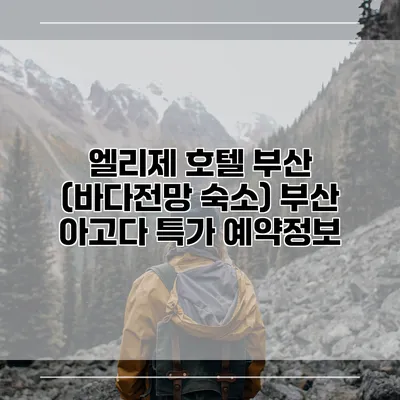 엘리제 호텔 부산 (바다전망 숙소) 부산 아고다 특가 예약정보