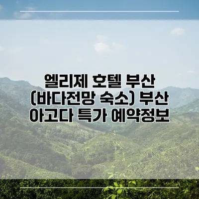 엘리제 호텔 부산 (바다전망 숙소) 부산 아고다 특가 예약정보