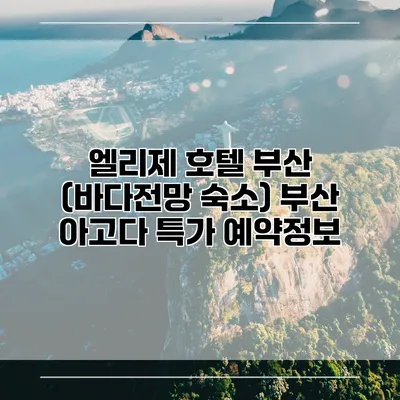 엘리제 호텔 부산 (바다전망 숙소) 부산 아고다 특가 예약정보