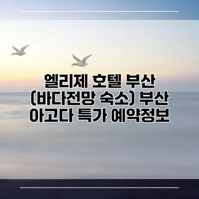 엘리제 호텔 부산 (바다전망 숙소) 부산 아고다 특가 예약정보