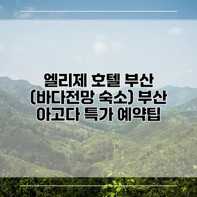 엘리제 호텔 부산 (바다전망 숙소) 부산 아고다 특가 예약팁